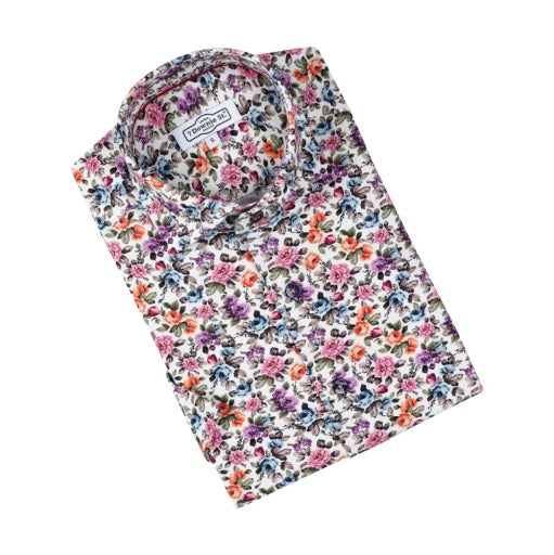 AMORE 705 SS MULTI - 7 Downie St.®