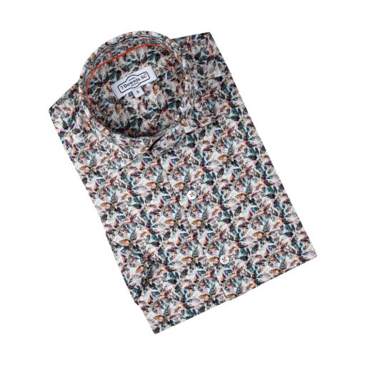 AMORE 711 SS BROWN - 7 Downie St.®